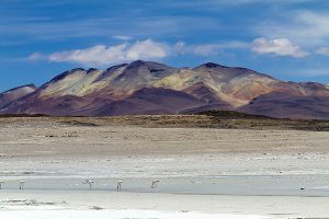 Ojo de Perdiz - Bolivian Border 233.jpg